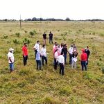 17. chicharrones rancios y agrios