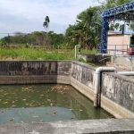 19. chicharrones rancios y agrios