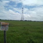 9. chicharrones rancios y agrios