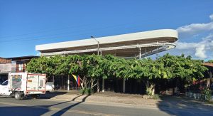 Ecocidio (3)