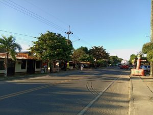 Ecocidio (6)