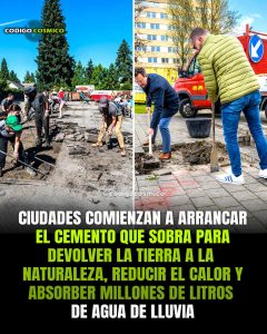 Ecocidio (8)
